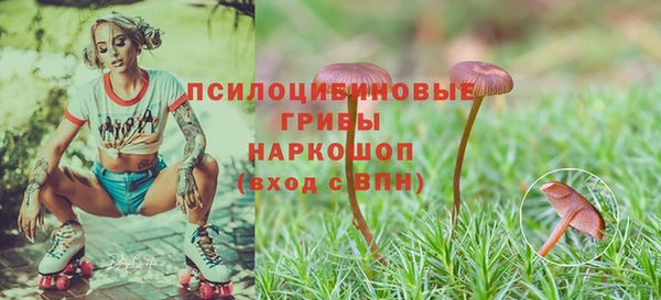 дурь Абаза