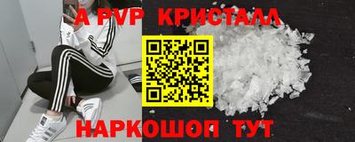 шишки Кингисепп