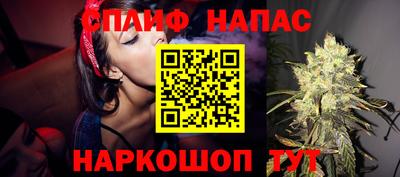 шишки Кингисепп