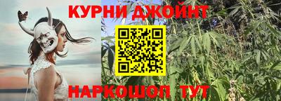 шишки Кингисепп