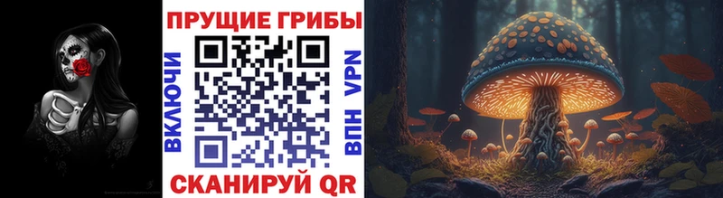 Галлюциногенные грибы Magic Shrooms Лиски
