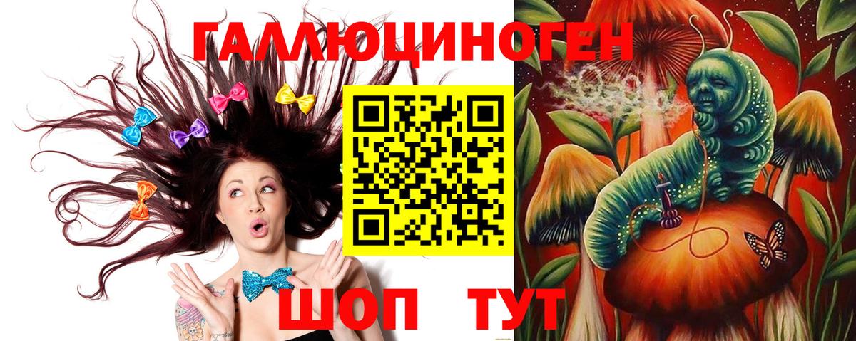 Галлюциногенные грибы Psilocybe  Вход с VPN  Лиски  Галлюциногенные грибы GOLDEN TEACHER 
